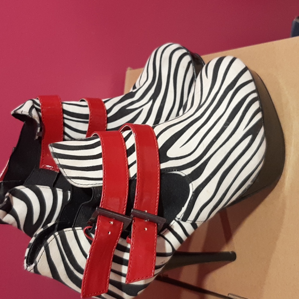 Heels zebra